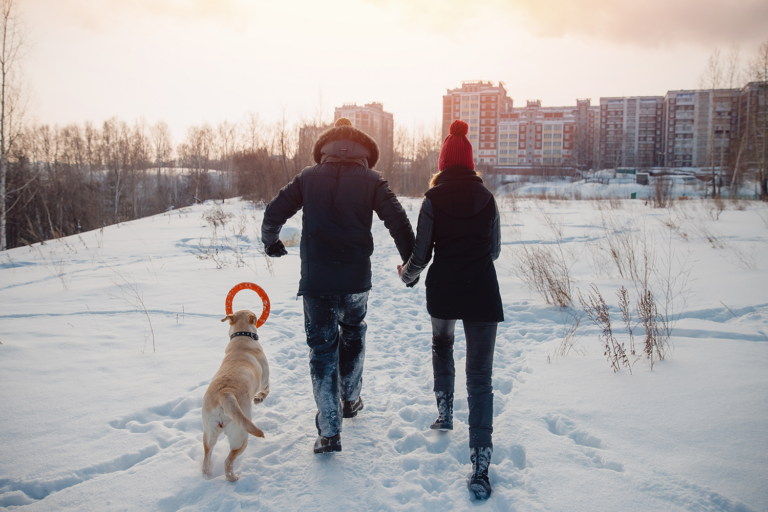 Couple walking their dog through a snow-filled park