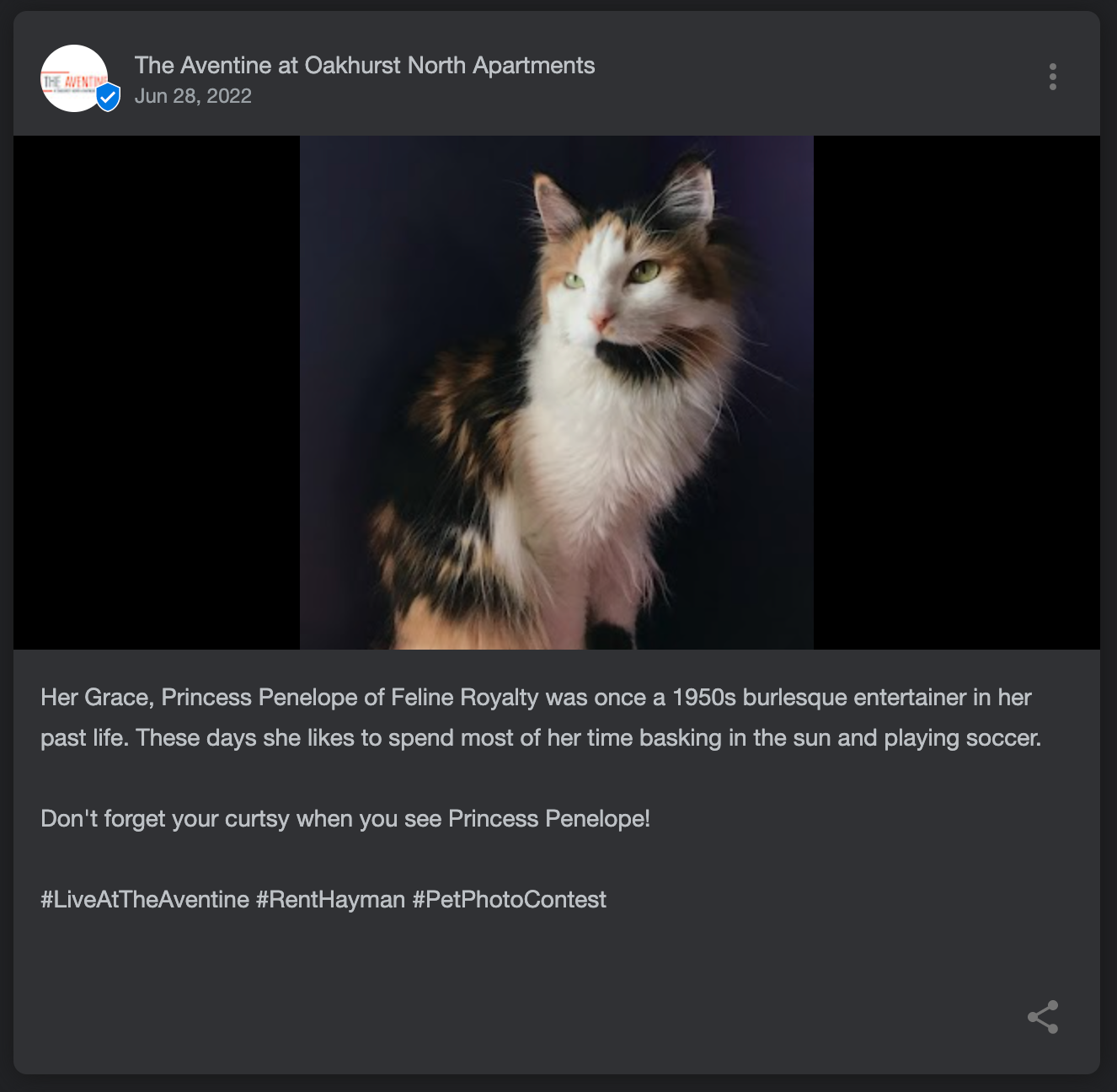 Google Business Profile post showcasing a community pet